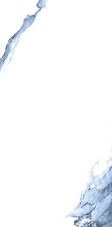 Calacatta Blue Matte 12 x 24